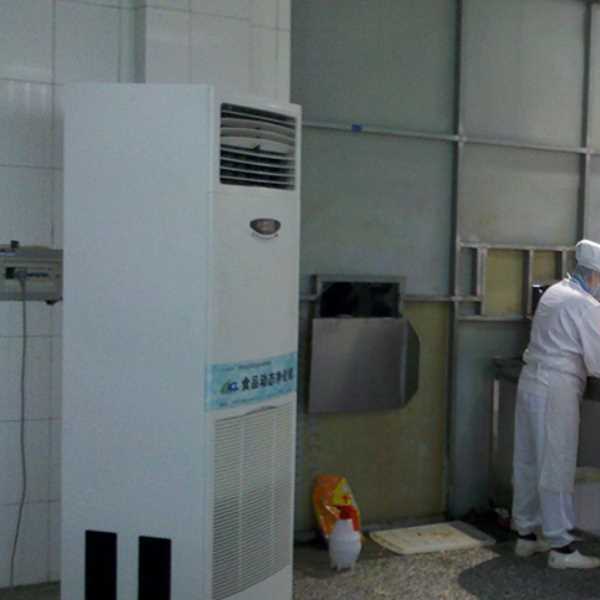 郴州食品正负离子空气杀菌器